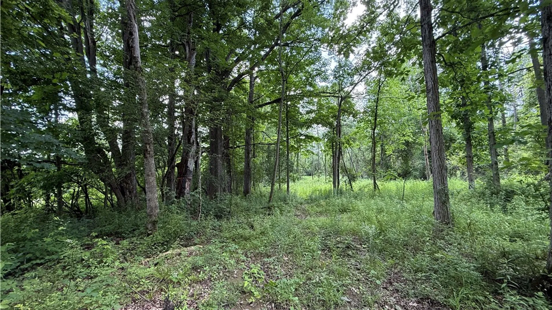 Property at Caswell Road, Dryden, NY 13068 35