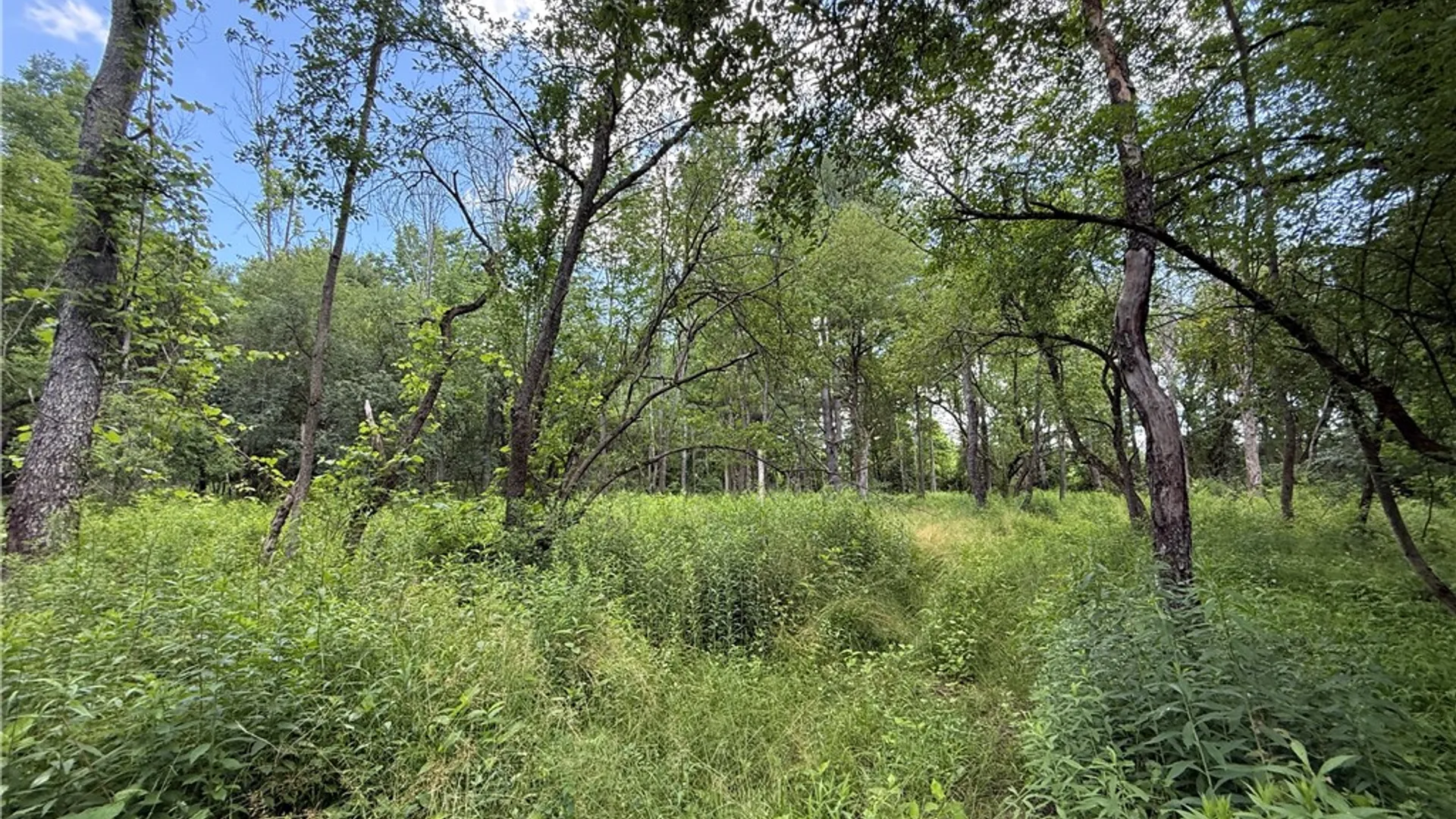 Property at Caswell Road, Dryden, NY 13068 36