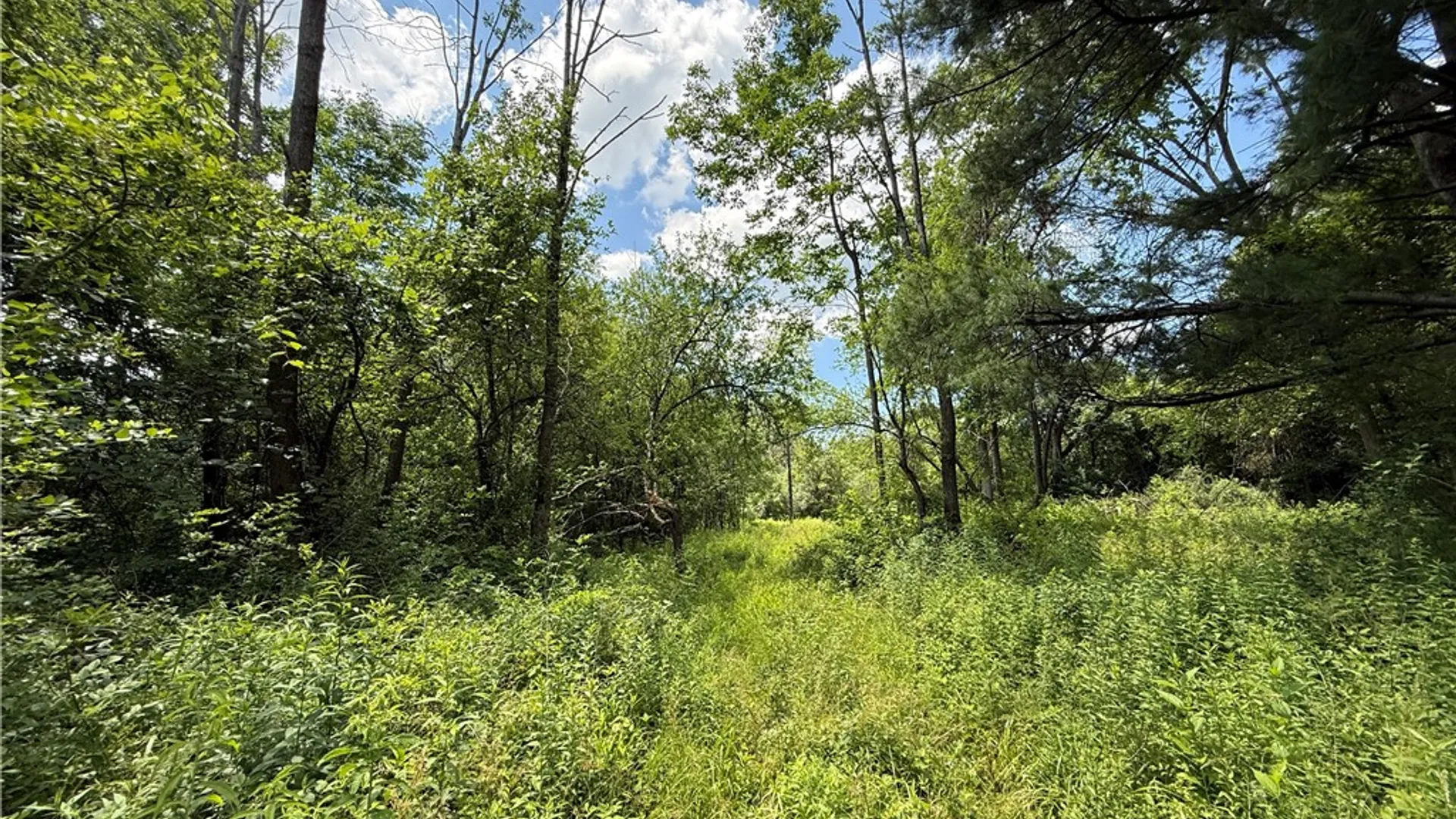 Property at Caswell Road, Dryden, NY 13068 37