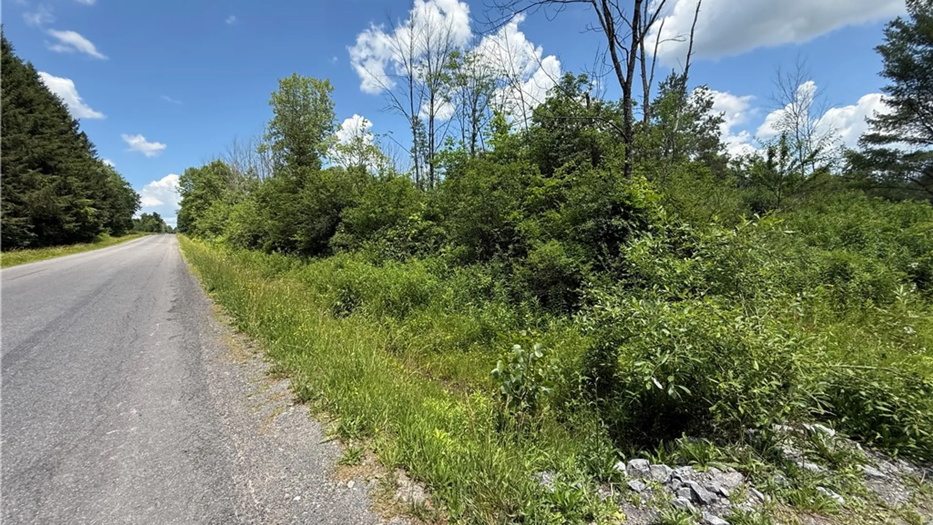 Property at Caswell Road, Dryden, NY 13068 39