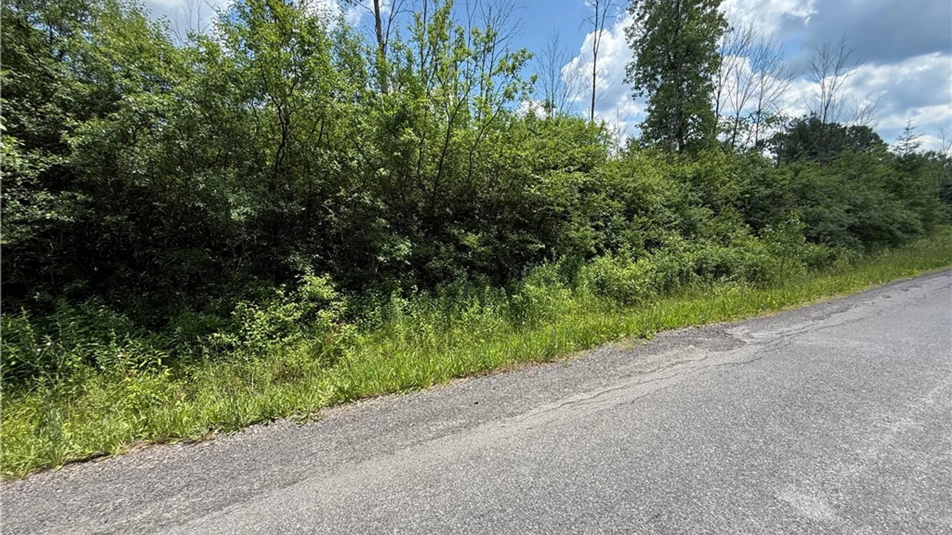Property at Caswell Road, Dryden, NY 13068 40