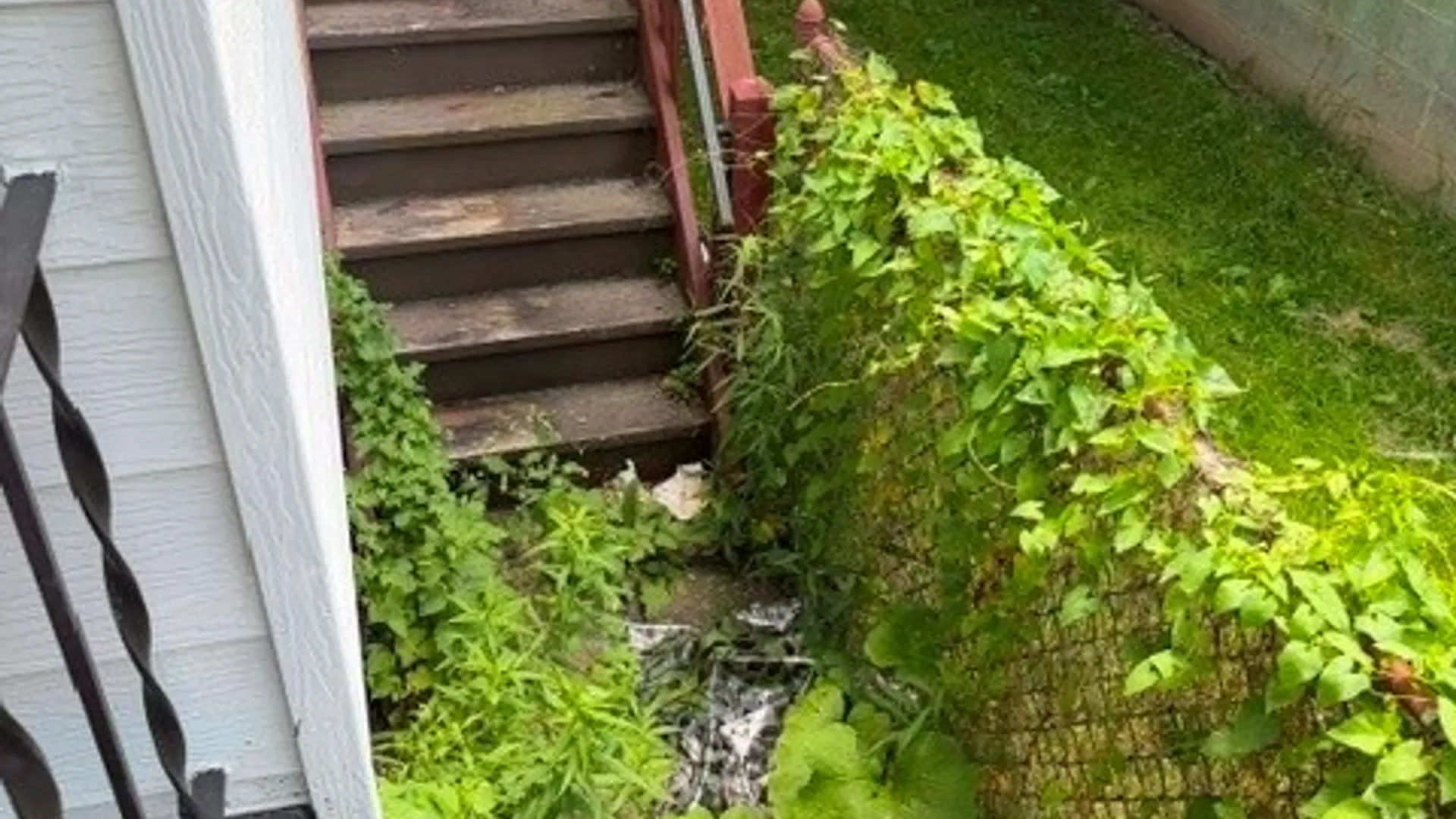 Property at 2209 Pierce Avenue, Niagara Falls, NY 14301 2