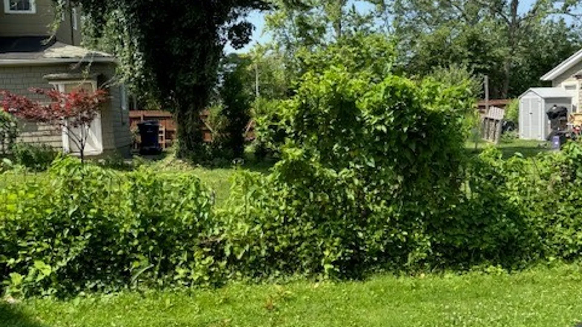 Property at 34 Princeton Place, Buffalo, NY 14210 9