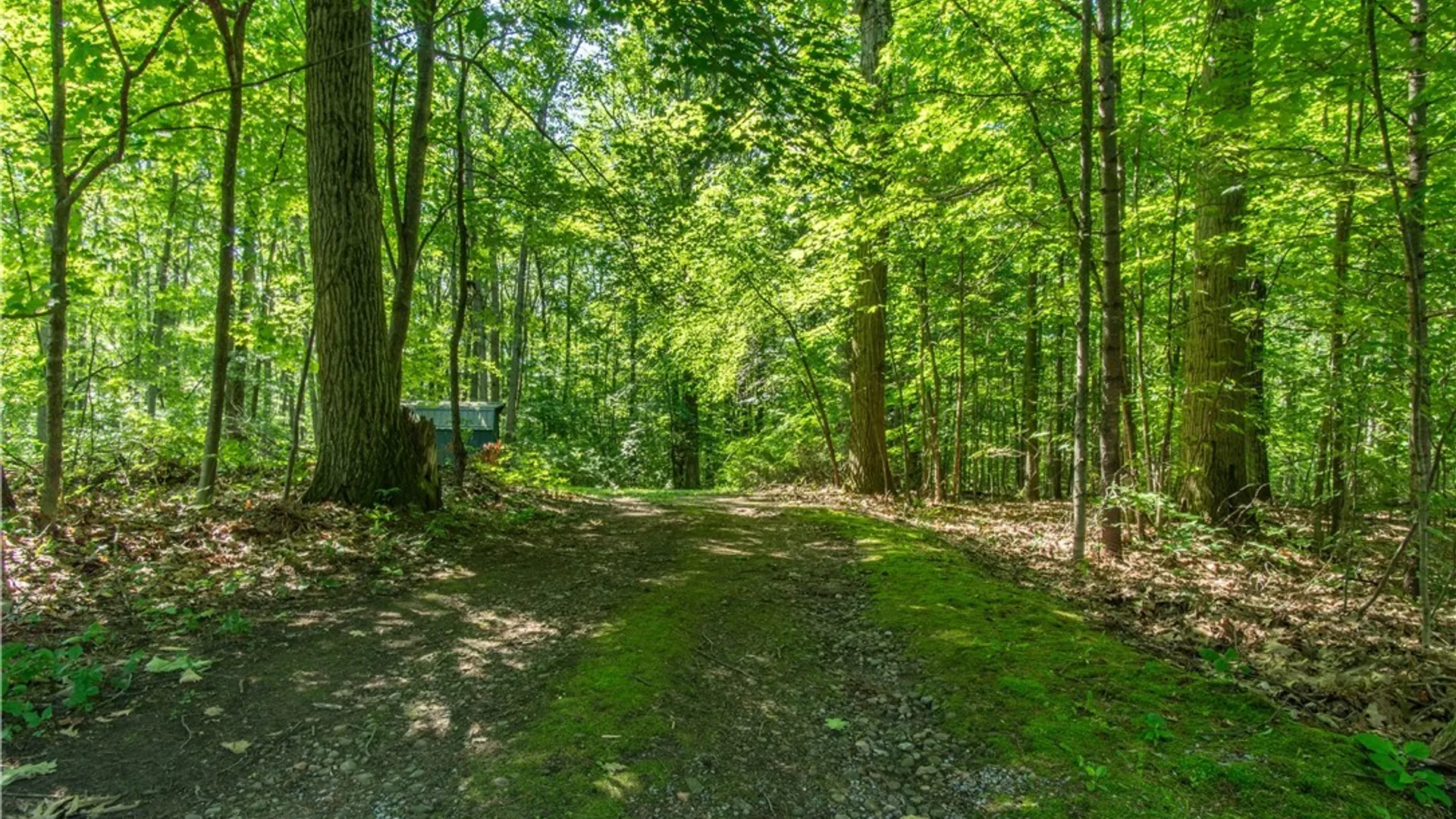 Property at 38152 State Route 12e, Clayton, NY 13624 28