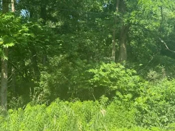 Property at Wothe Freeman Road, Lincklaen, NY 13052