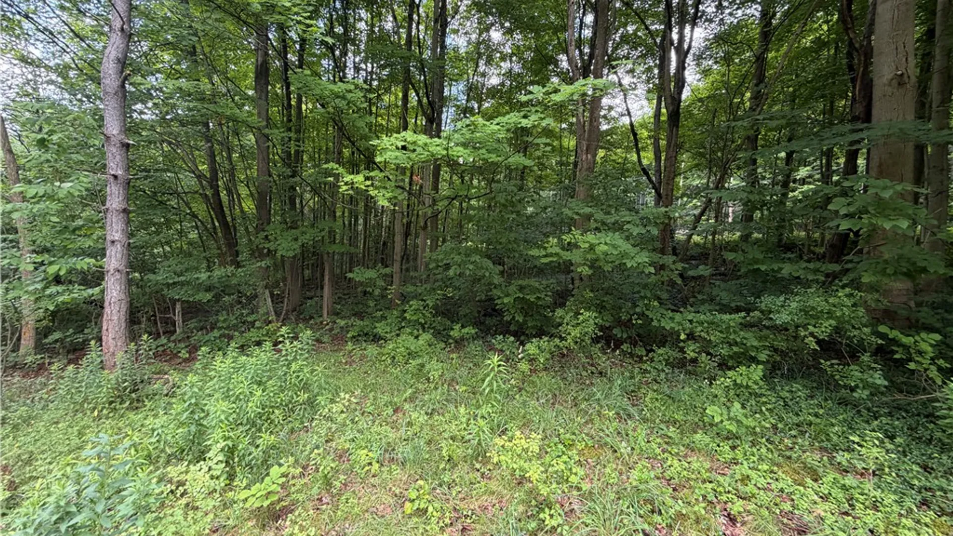 Property at 000 Ellis Hollow Road, Dryden, NY 14850 10