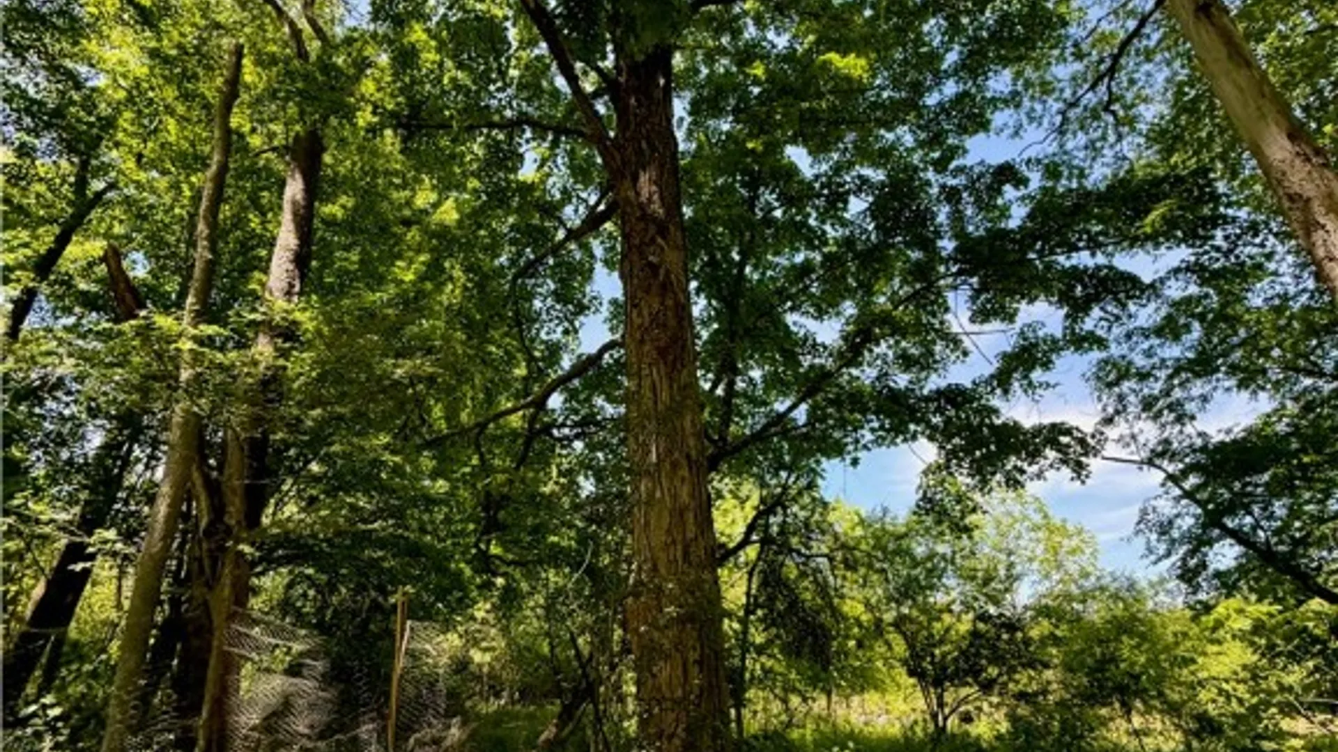 Property at 000 Ellis Hollow Road, Dryden, NY 14850 11