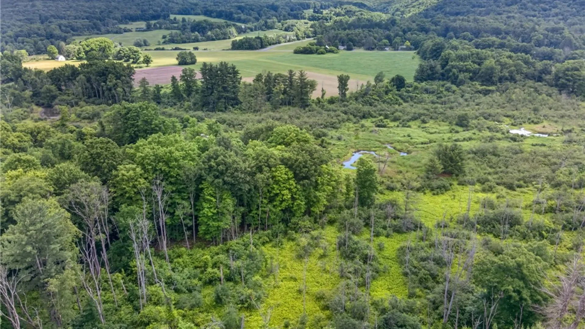 Property at 000 Ellis Hollow Road, Dryden, NY 14850 12