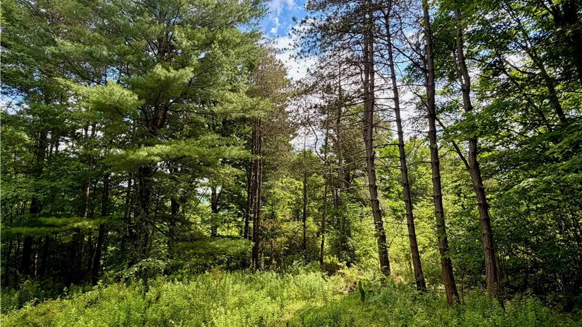 Property at 000 Ellis Hollow Road, Dryden, NY 14850 5