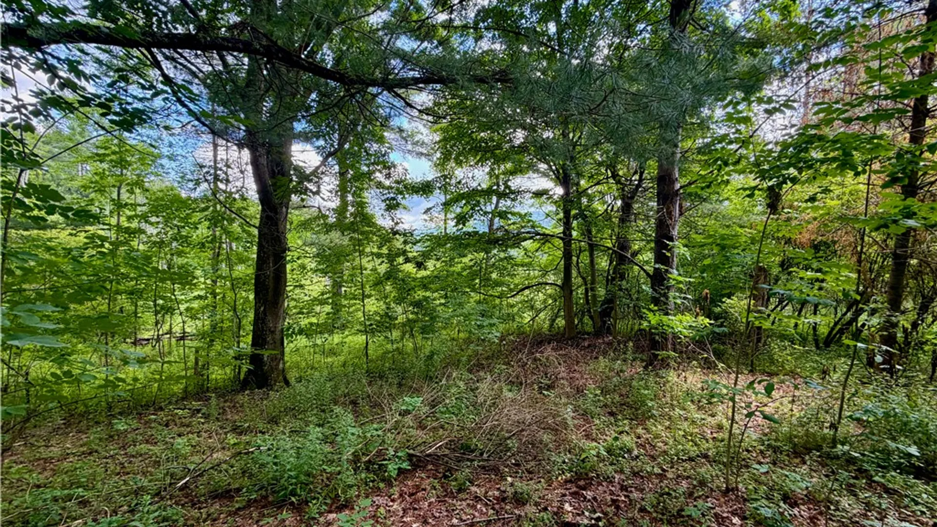 Property at 000 Ellis Hollow Road, Dryden, NY 14850 8