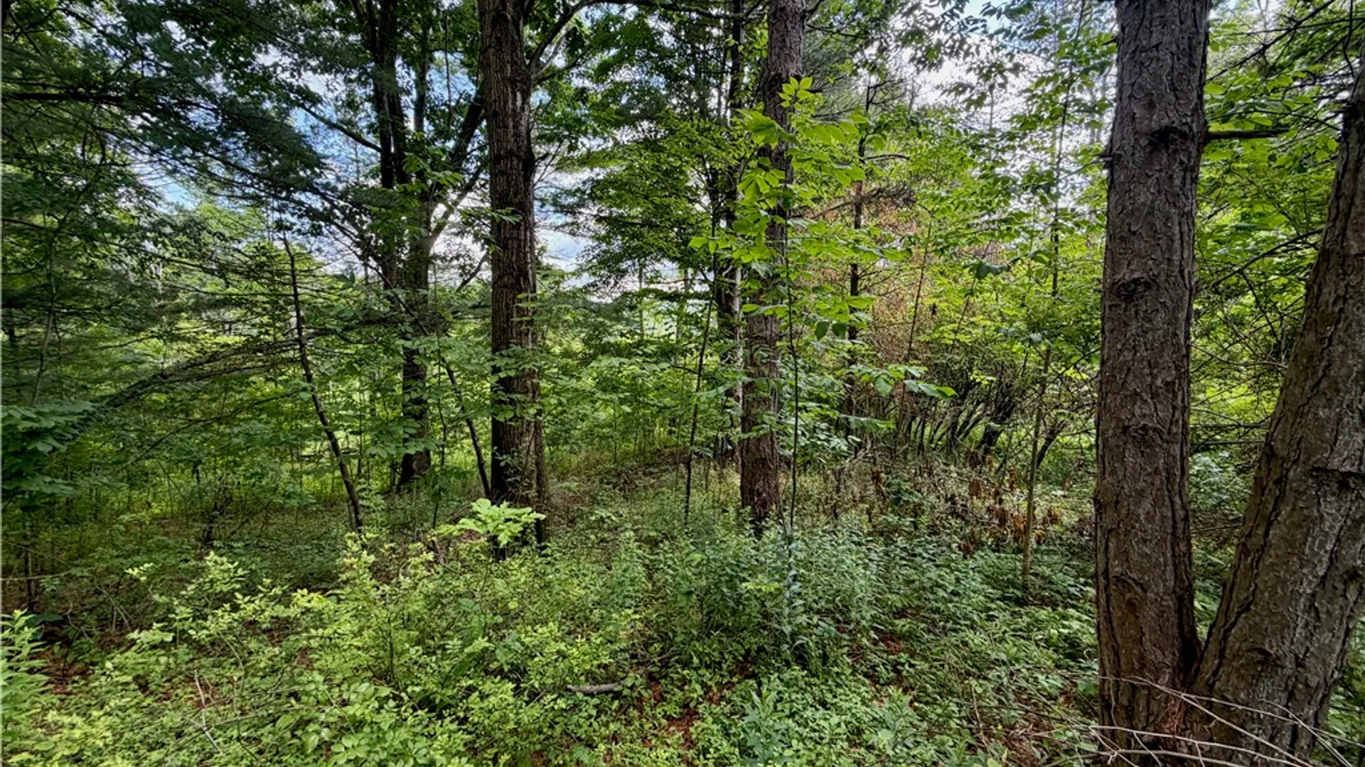 Property at 000 Ellis Hollow Road, Dryden, NY 14850 9