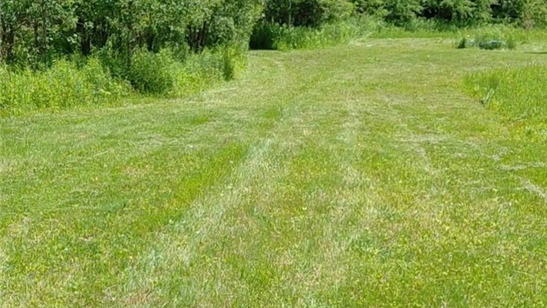 Property at 10269 Evans Road, Steuben, NY 13438 14
