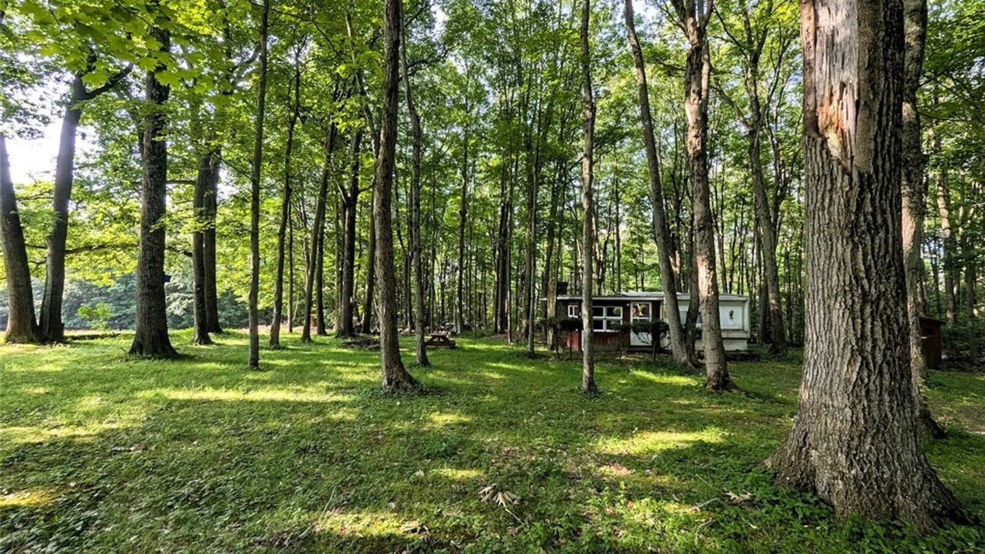 Property at 8880 Hemlock Road, Wheeler, NY 14809 2