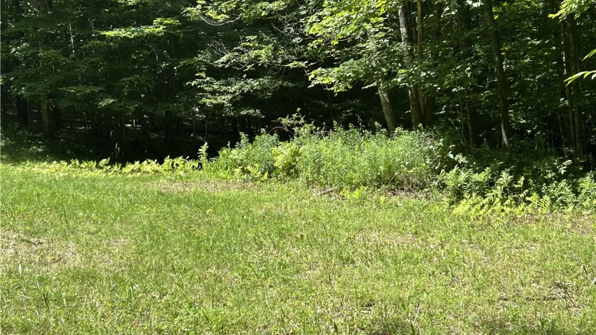 Property at 441 Dodge Lodge Road, Richmondville, NY 12149 14