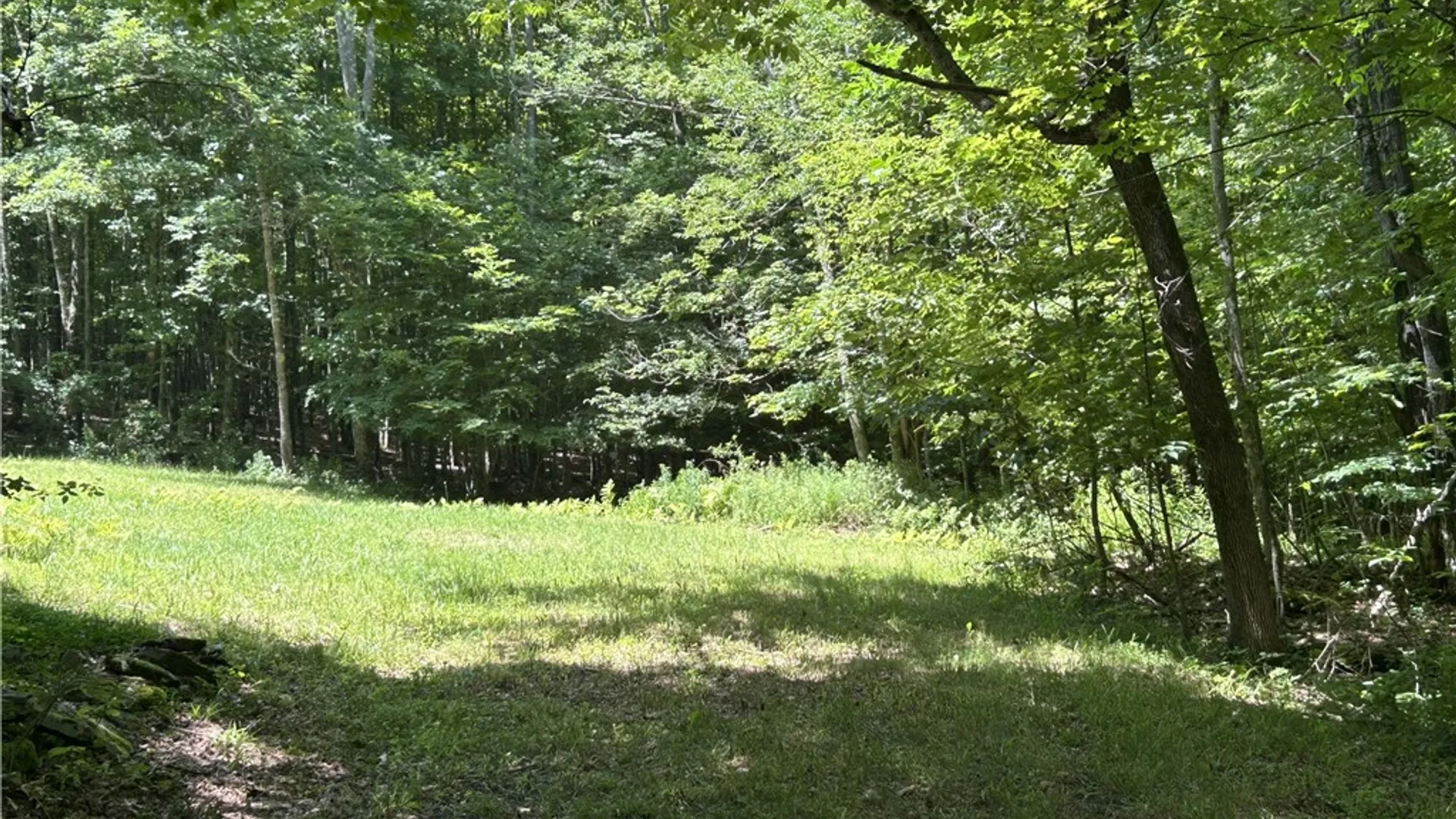 Property at 441 Dodge Lodge Road, Richmondville, NY 12149 16