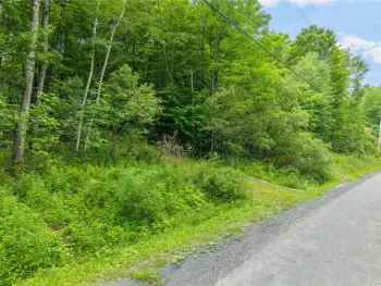 Property at 441 Dodge Lodge Road, Richmondville, NY 12149