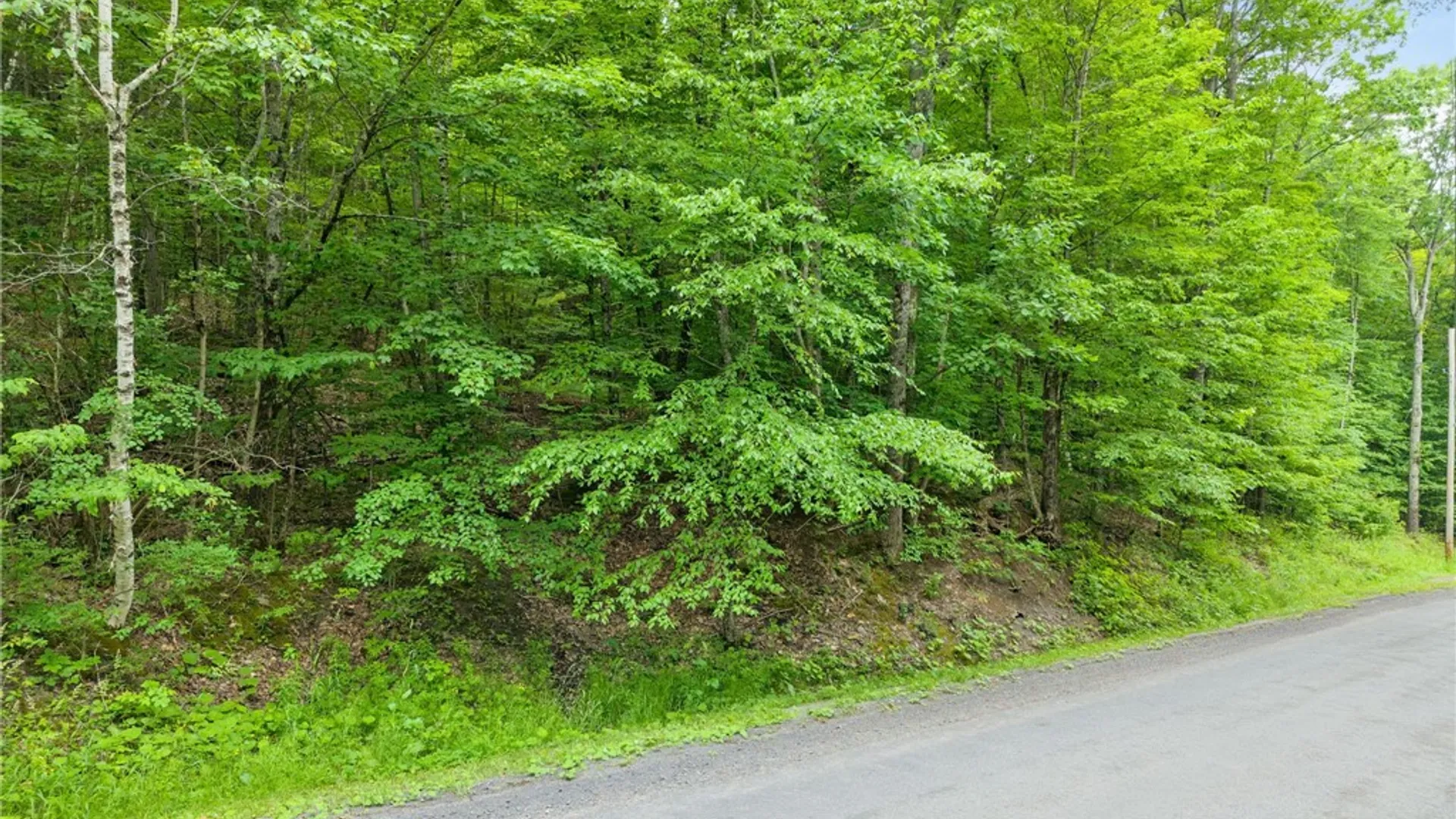 Property at 441 Dodge Lodge Road, Richmondville, NY 12149 3