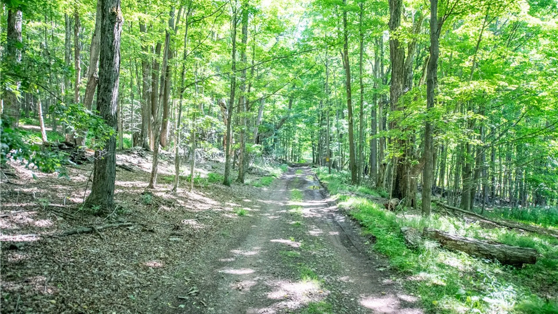 Property at Lot 43 Tower Mountain Road, Stamford, NY 12167 11