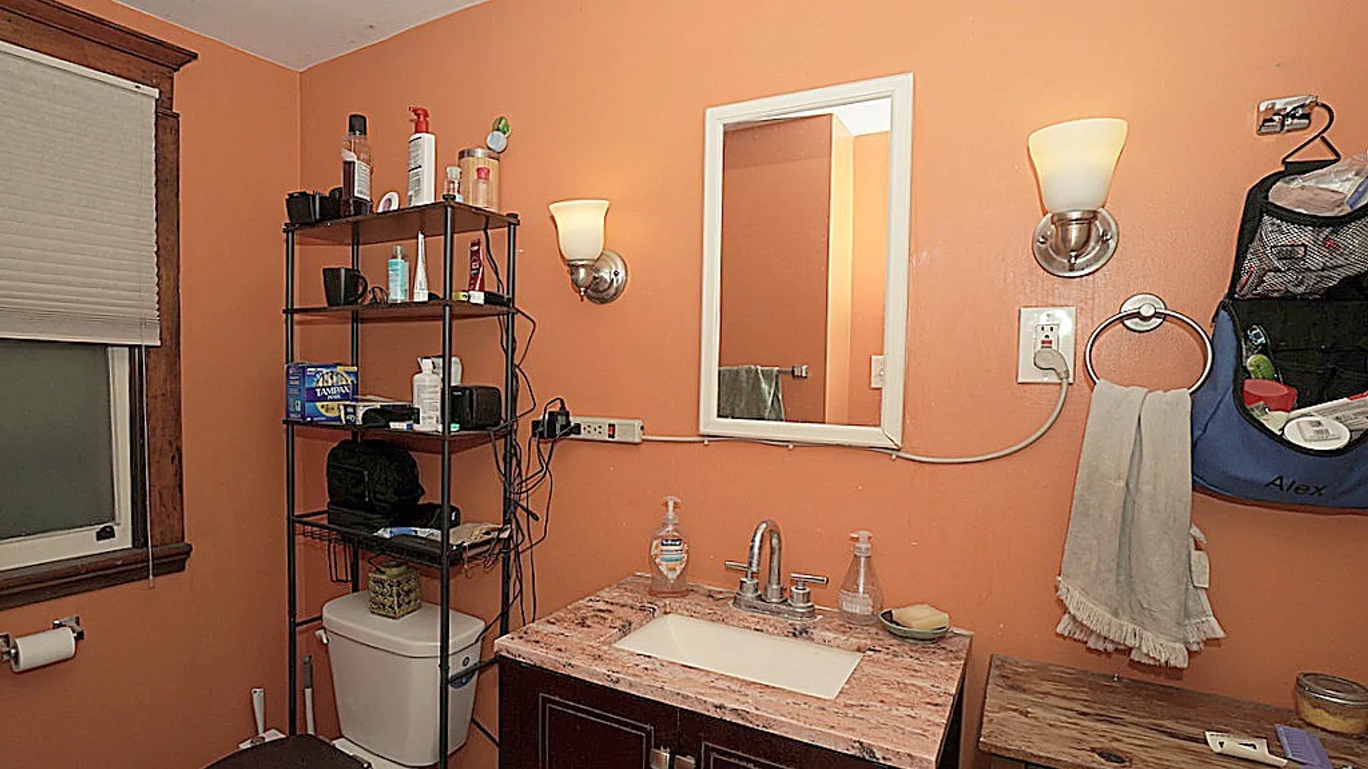 Property at 235 Saranac Avenue, Buffalo, NY 14216 11