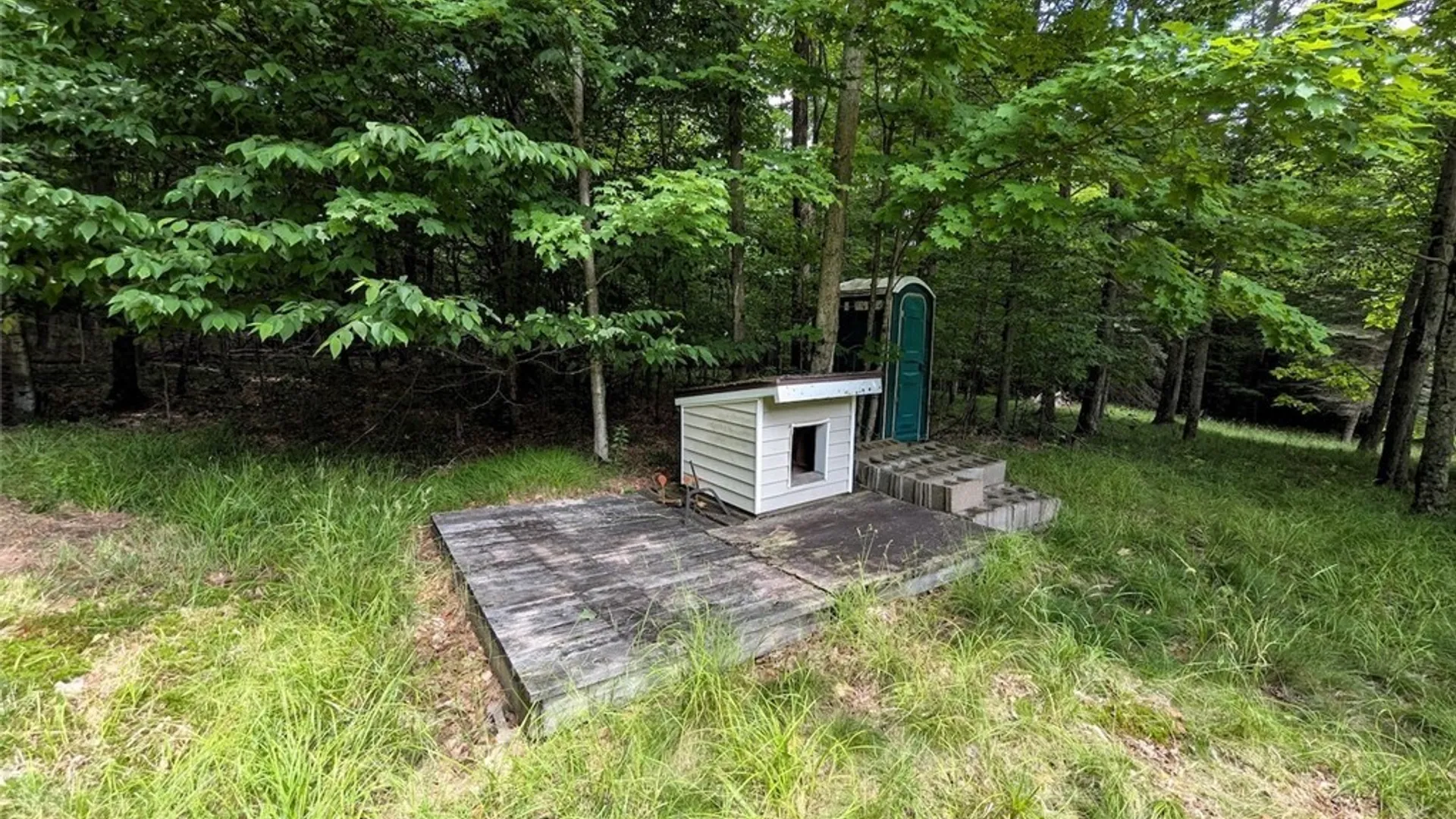 Property at 537 Maple Road, West Union, NY 14877 27