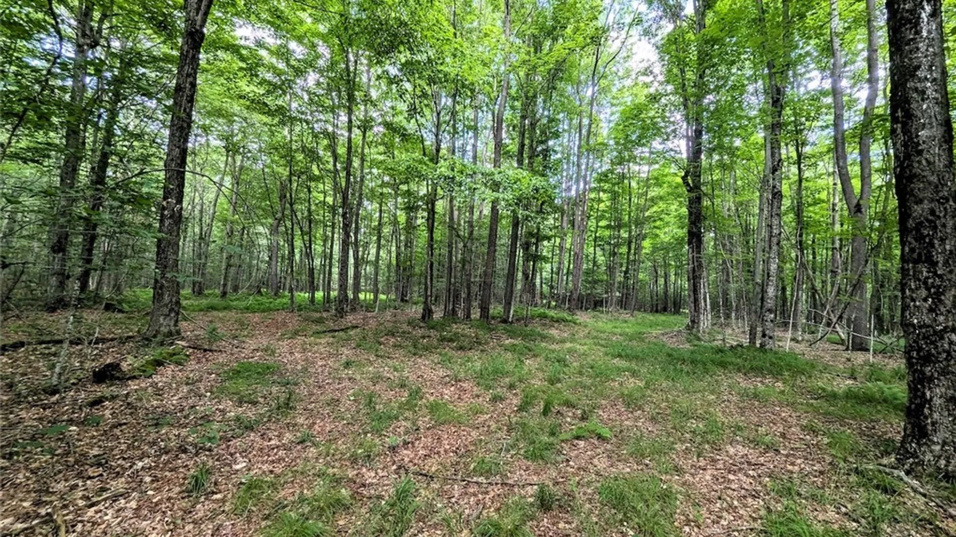 Property at 537 Maple Road, West Union, NY 14877 40
