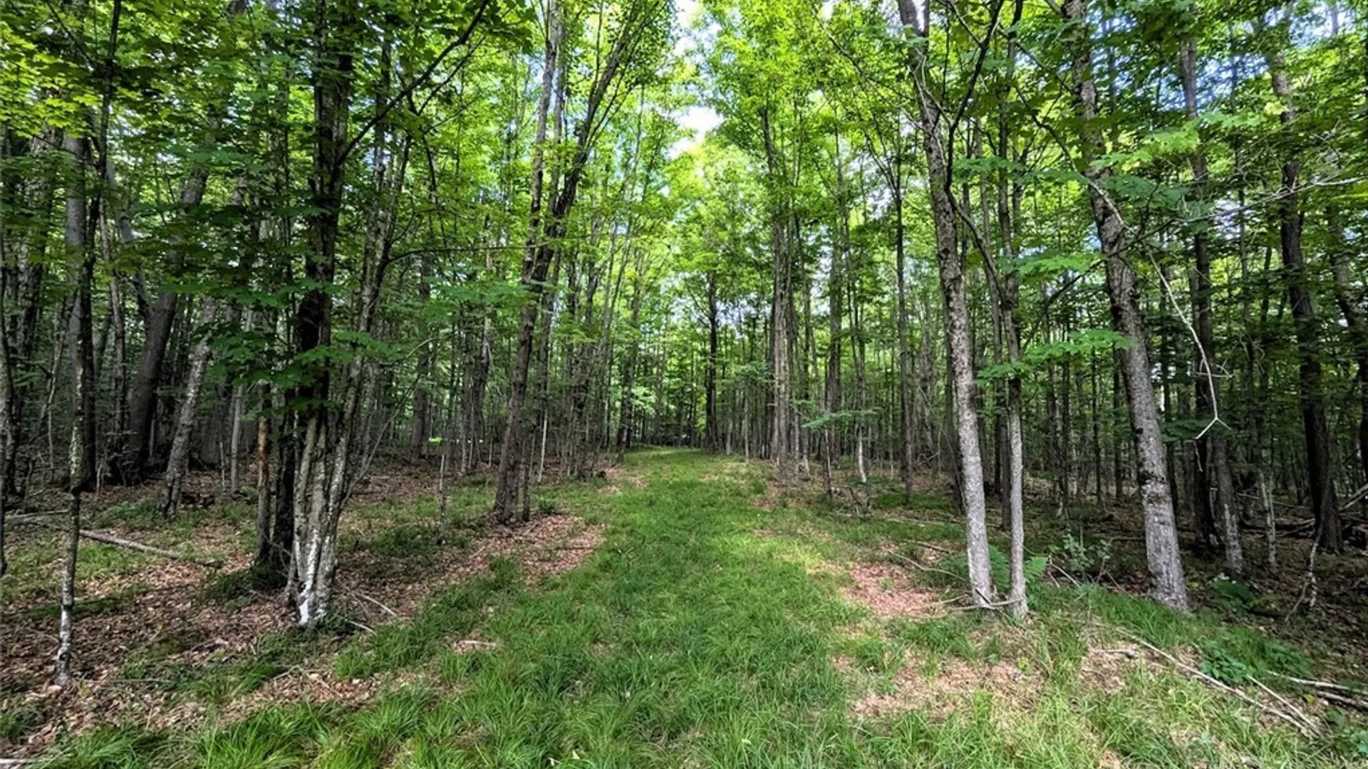 Property at 537 Maple Road, West Union, NY 14877 46