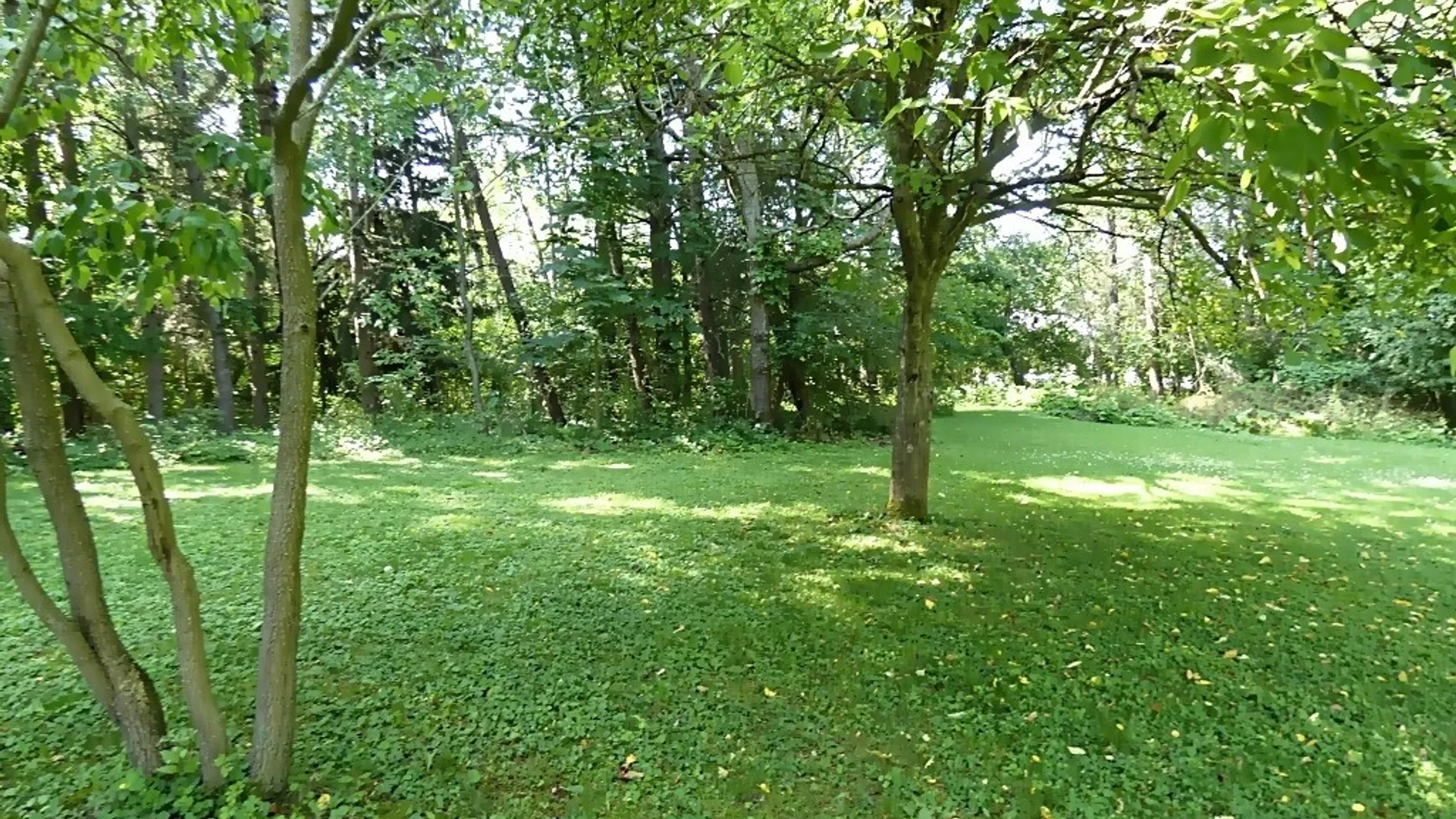 Property at 7399 Michael Road, Orchard Park, NY 14127 47