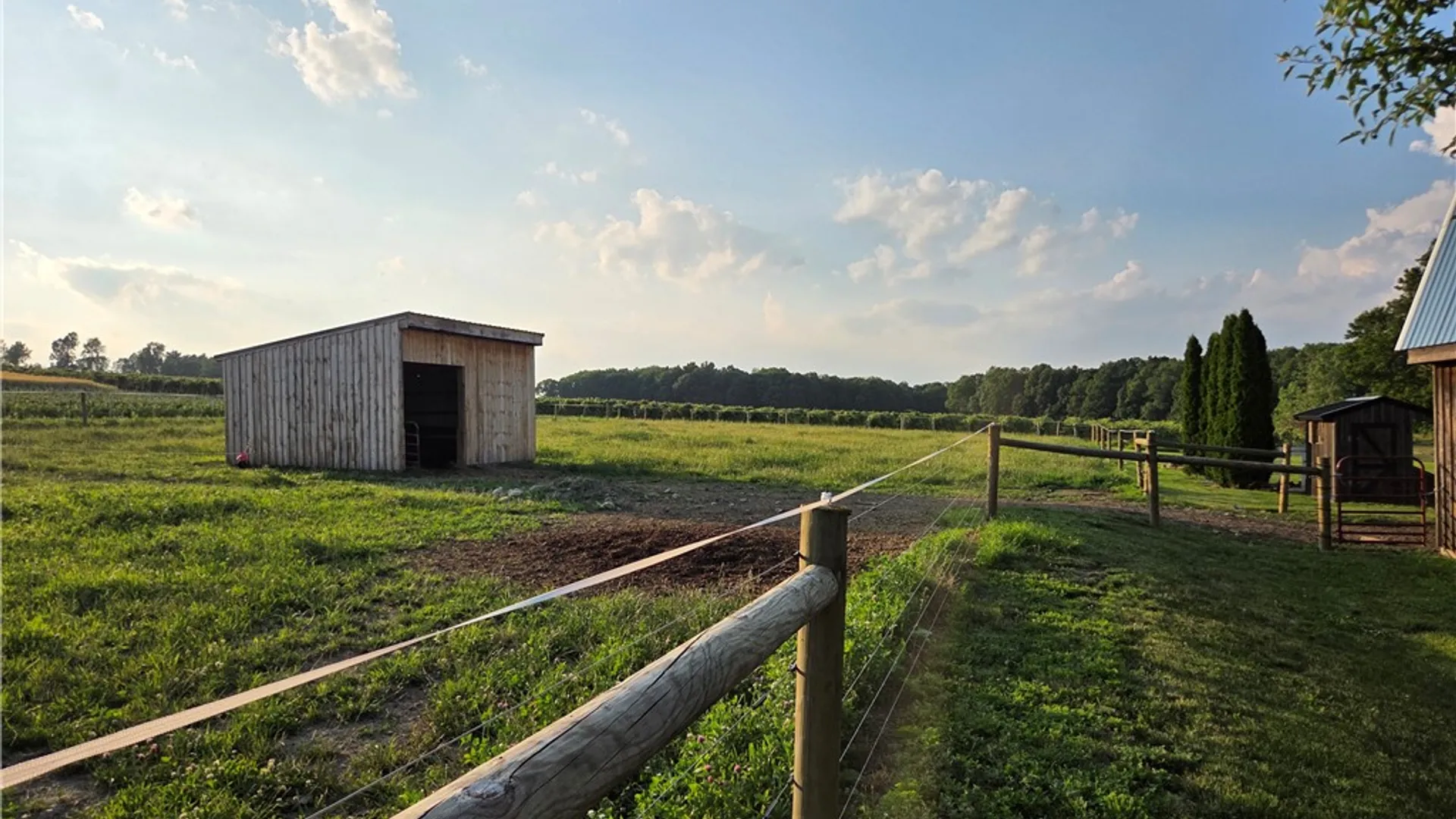 Property at 4194 Dundee Himrod Road, Starkey, NY 14837 45