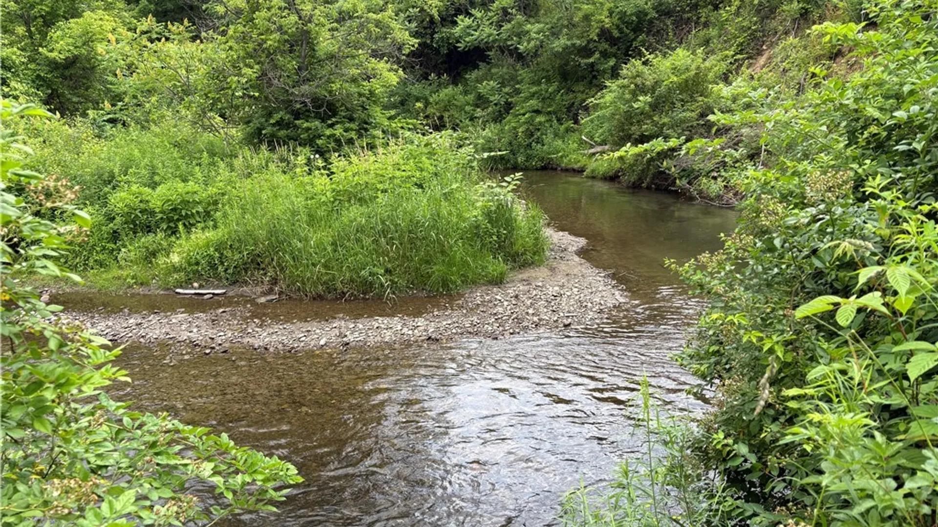 Property at 11029 Route 16, Yorkshire, NY 14042 16