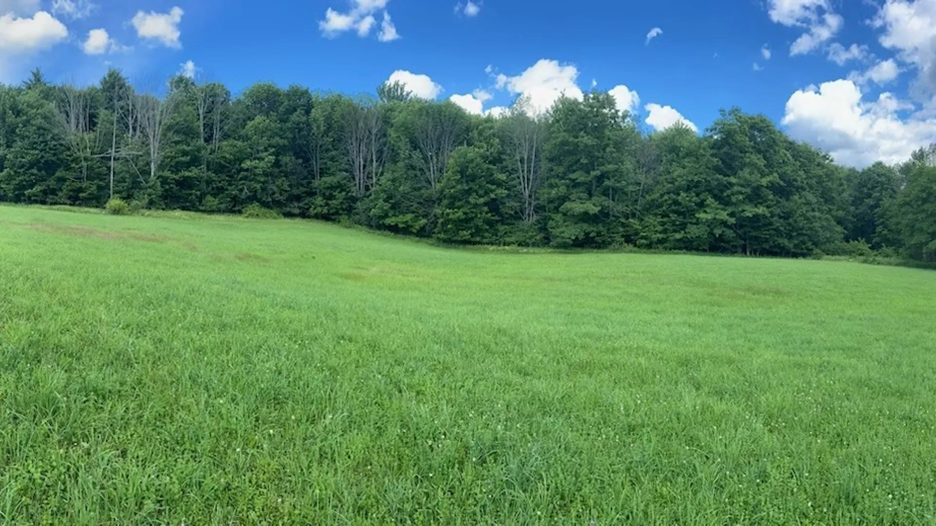Property at Holmesville Road, New Berlin, NY 13843 14
