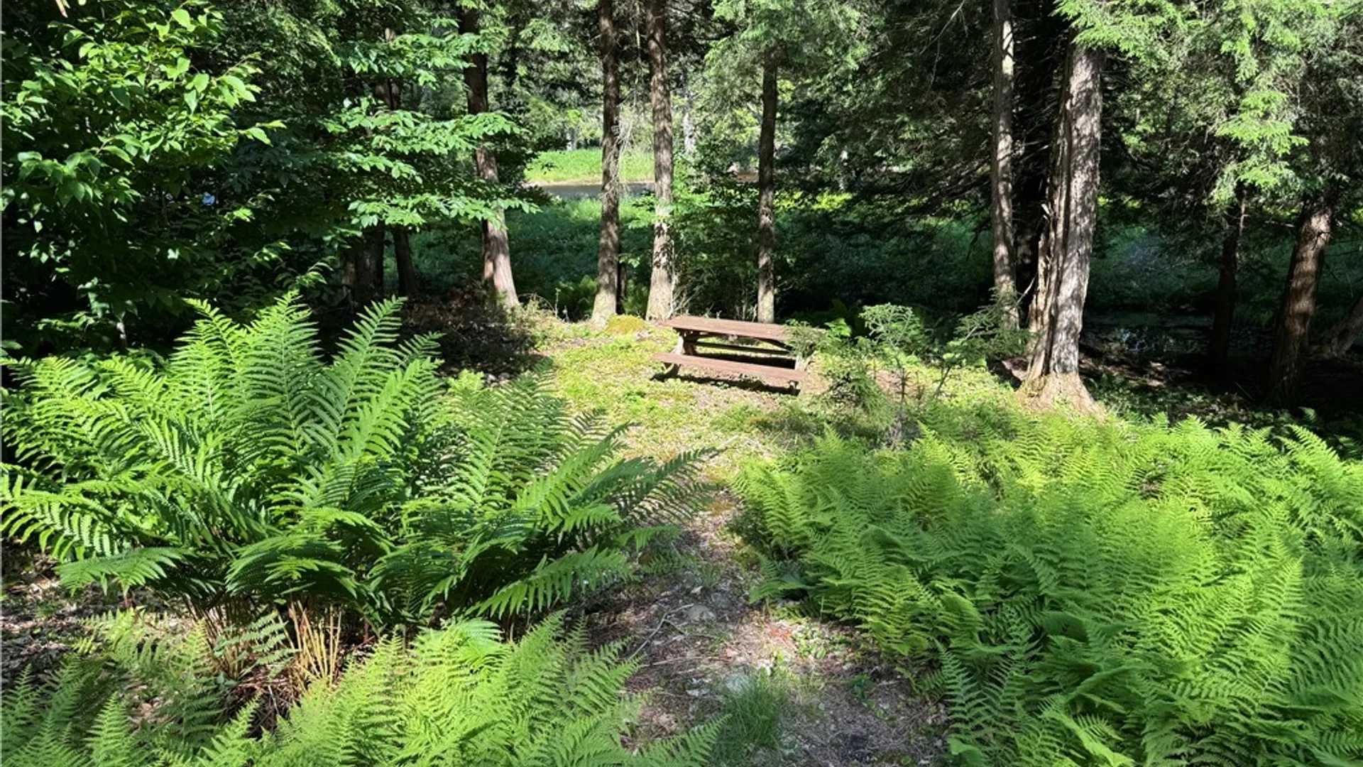 Property at Rt-28, Forestport, NY 13338 46