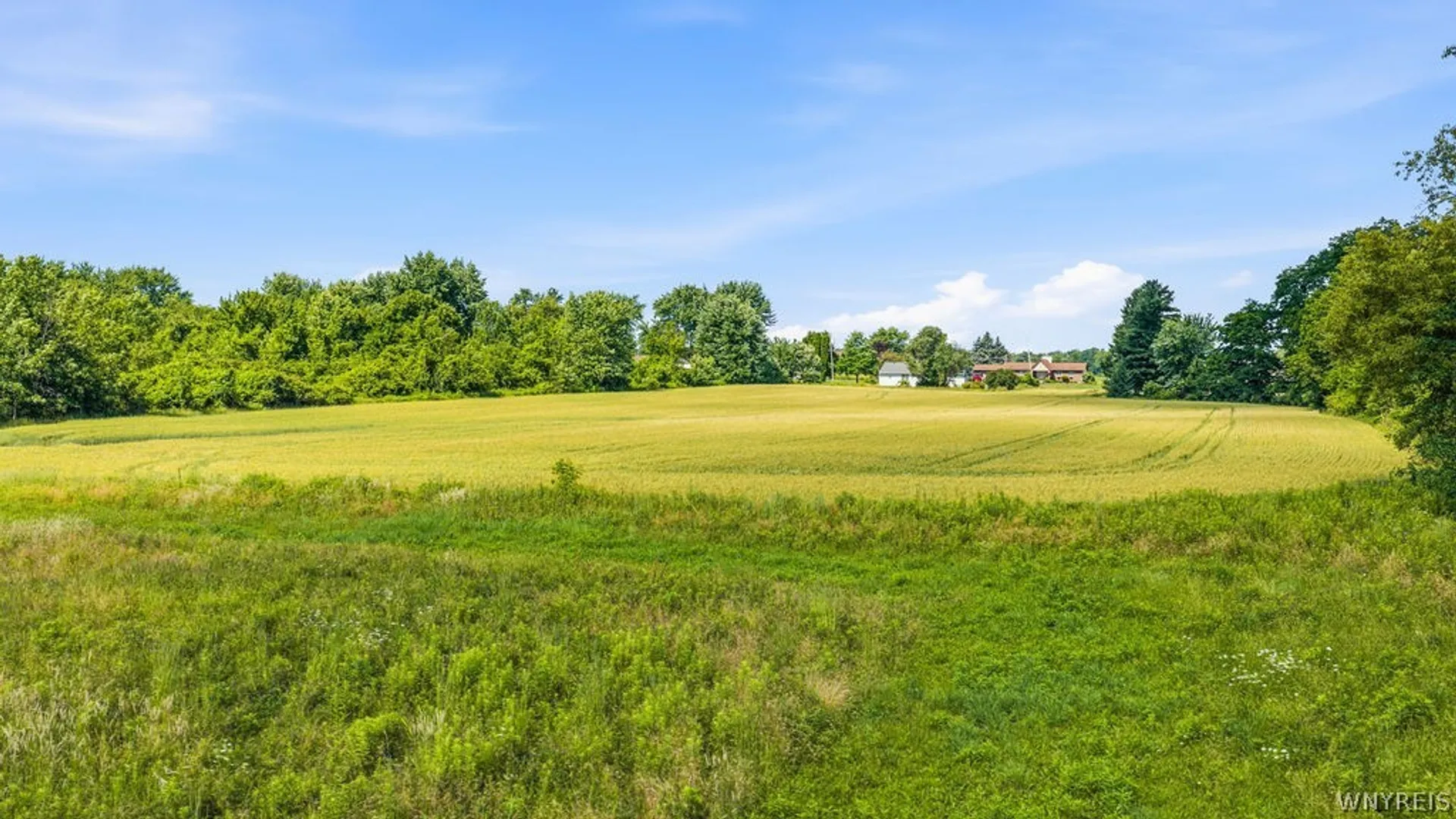 Property at V/L Bridgeman (#2) Road, Lewiston, NY 14092 19