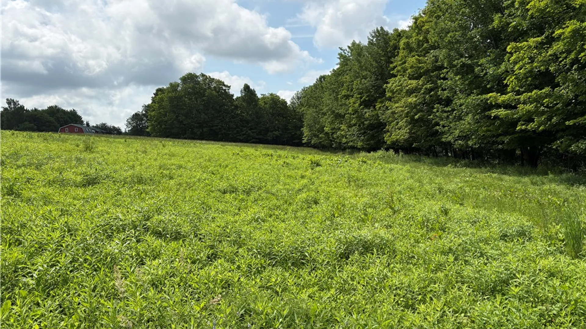 Property at 22.28 Swantak Road, Kortright, NY 13842 2