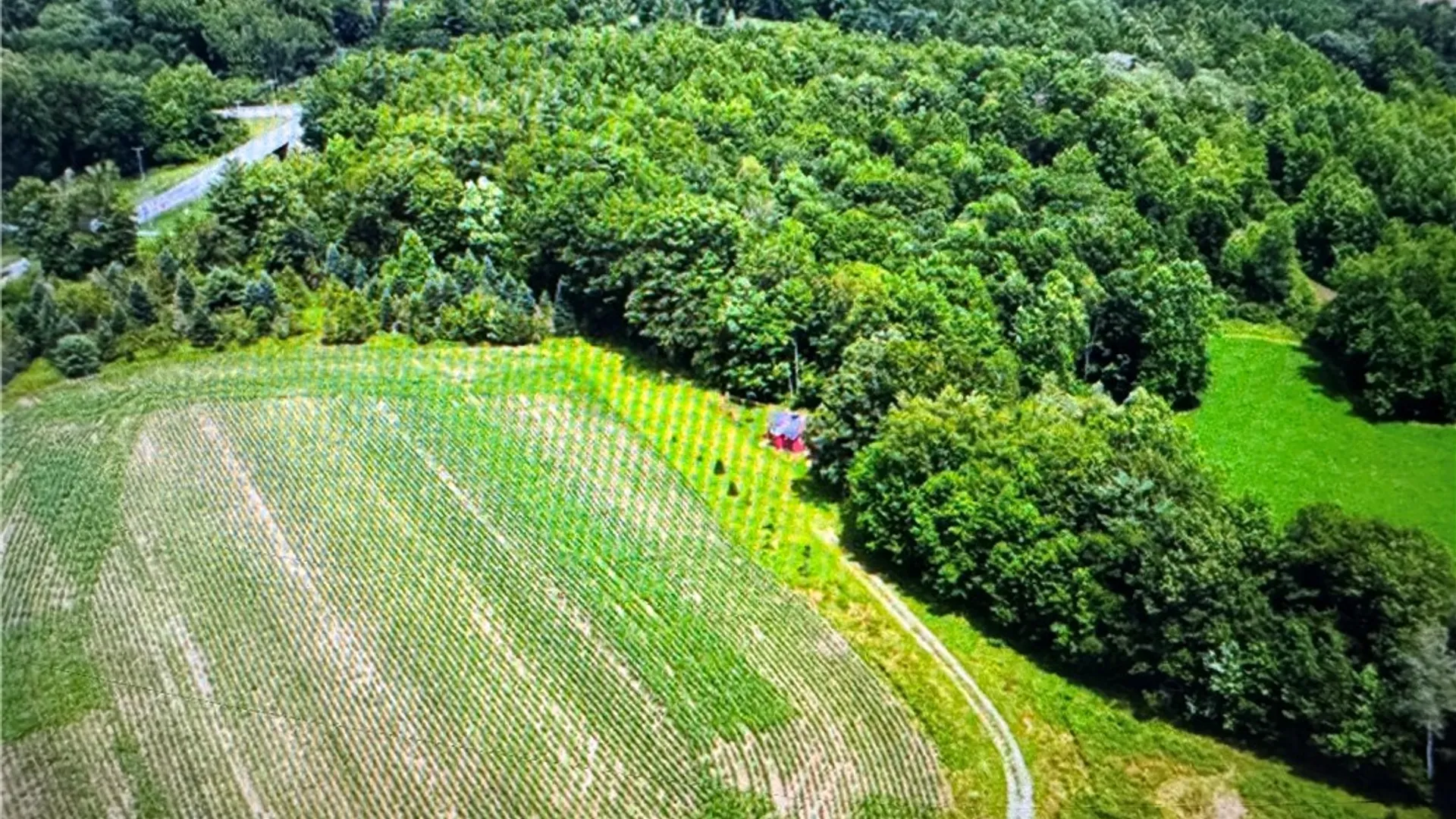 Property at 5537 County Road 16, Angelica, NY 14709 17