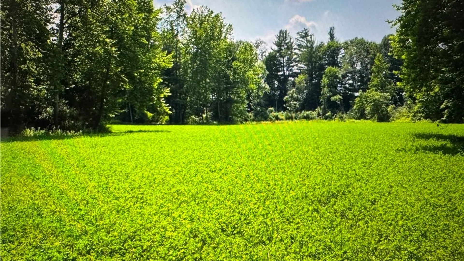 Property at 5537 County Road 16, Angelica, NY 14709 20