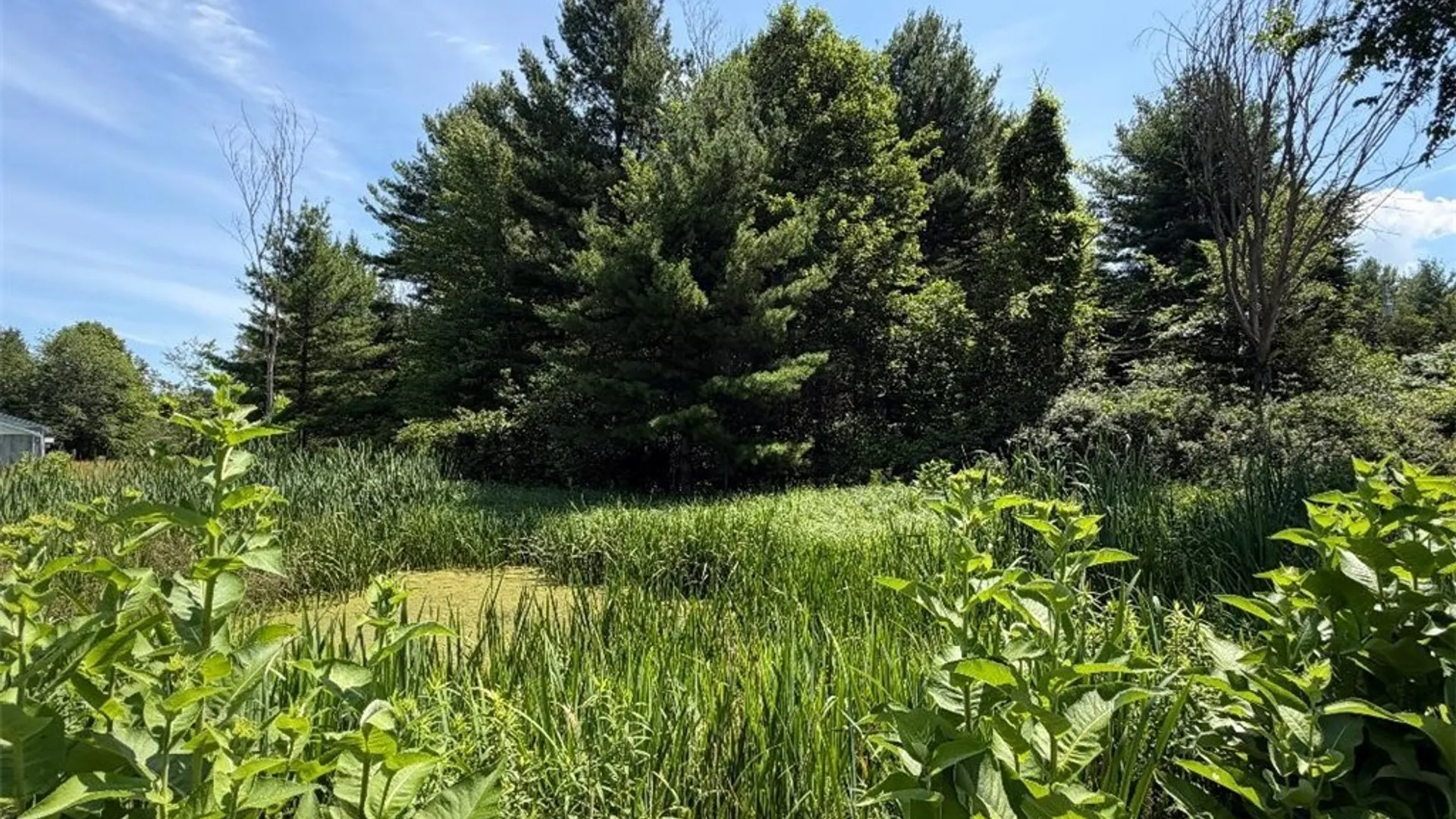 Property at 44600 Stine Road, Alexandria, NY 13679 31