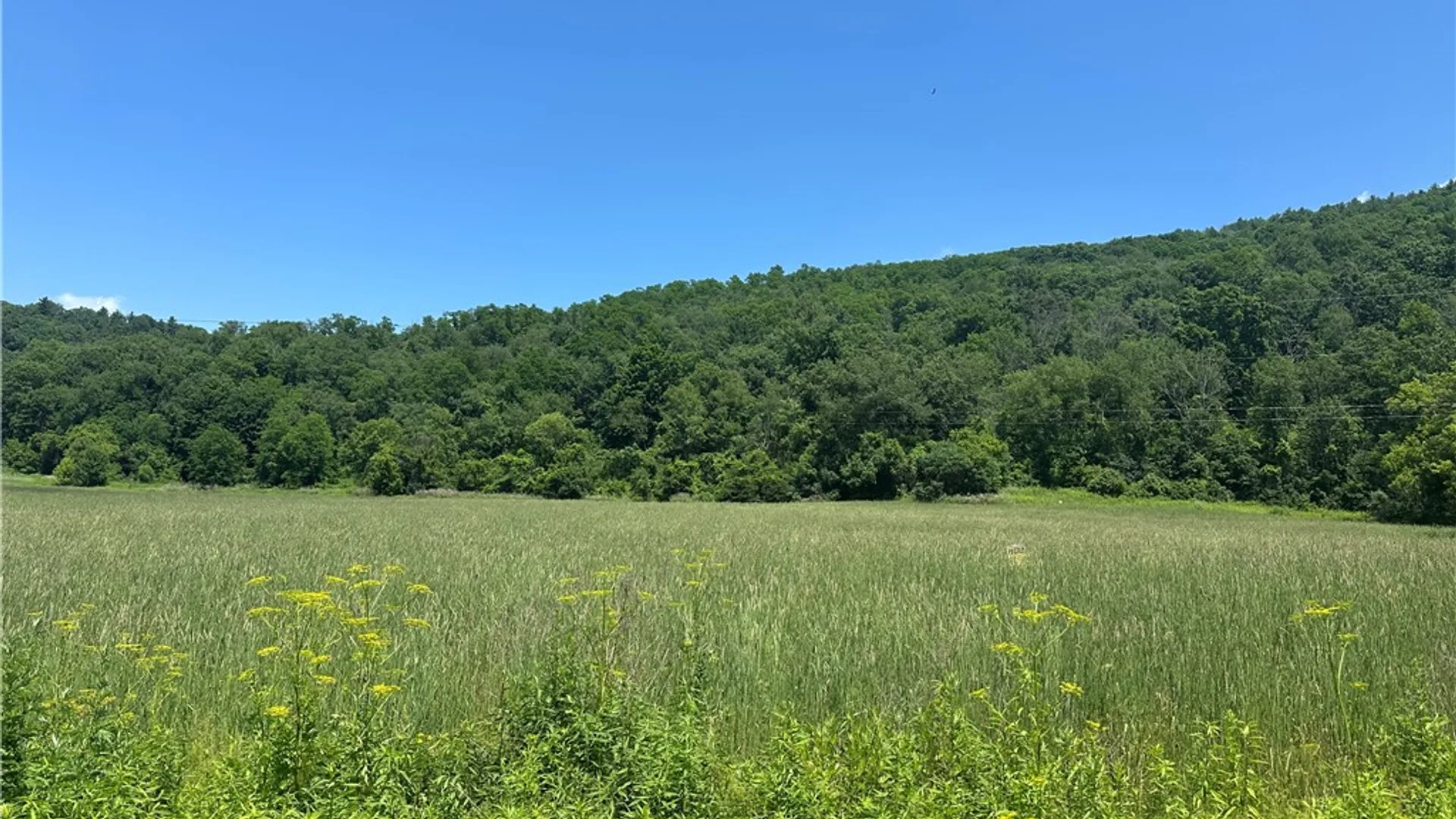 Property at 00 County Route 119, Rathbone, NY 14801 2