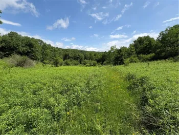 Property at Stage Road, Otselic, NY 13155