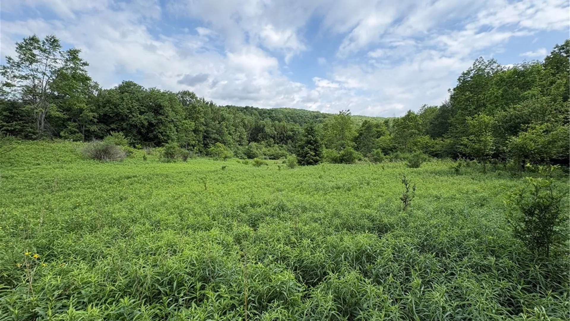 Property at Stage Road, Otselic, NY 13155 2