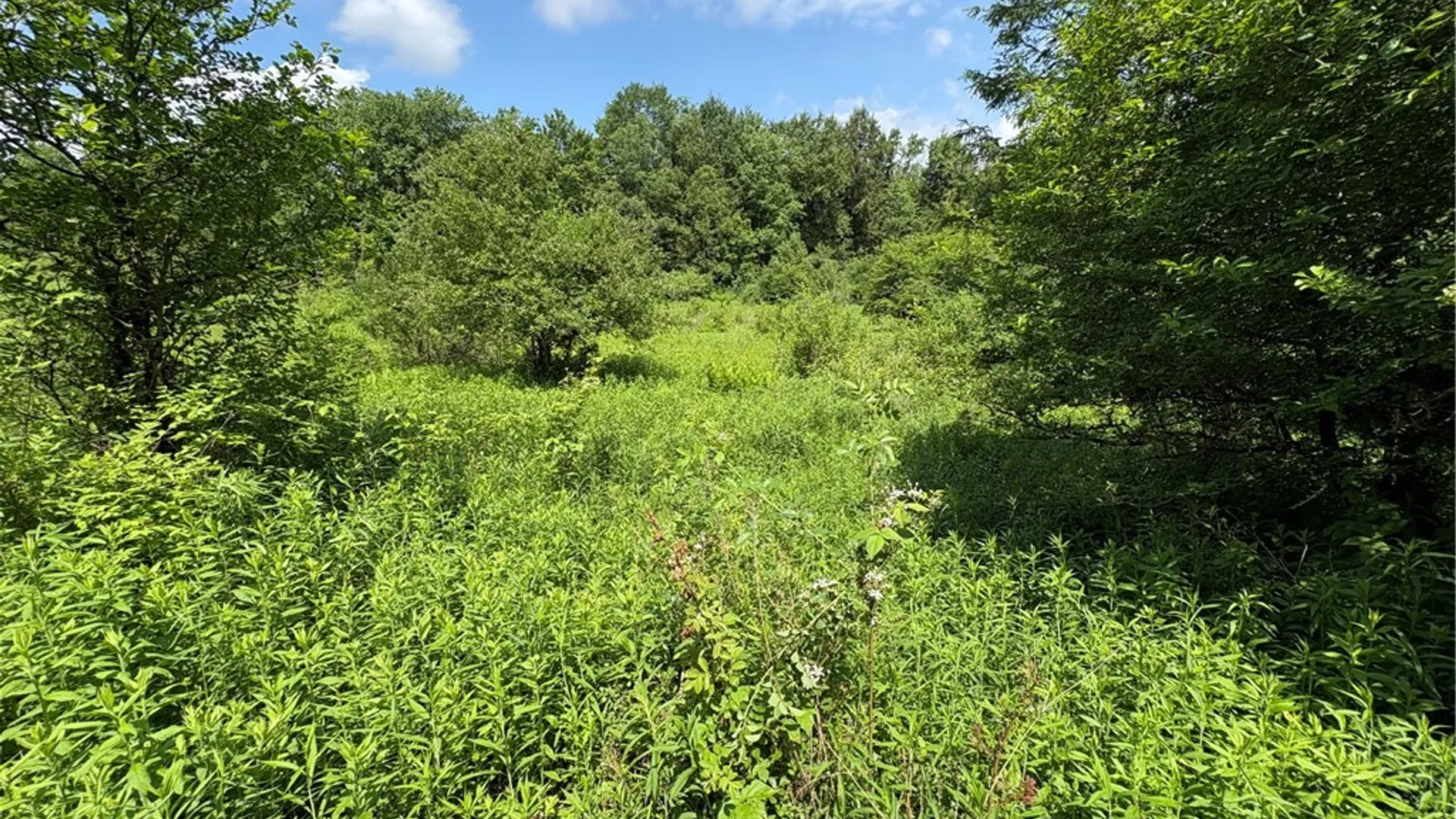 Property at Stage Road, Otselic, NY 13155 20