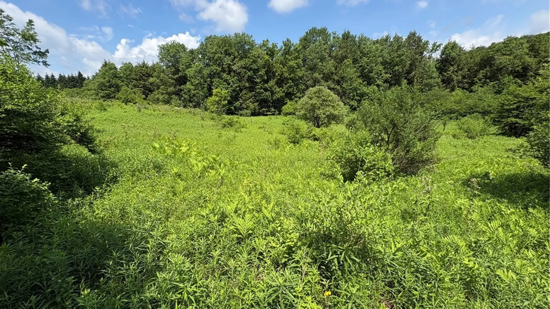 Property at Stage Road, Otselic, NY 13155 21