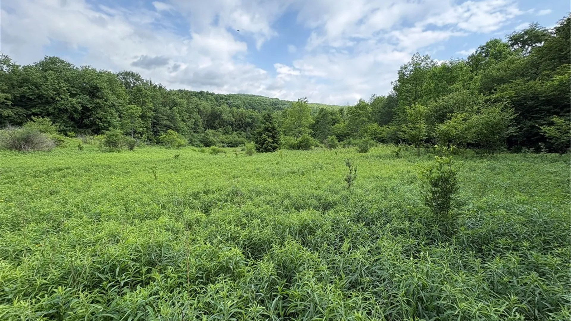 Property at Stage Road, Otselic, NY 13155 29