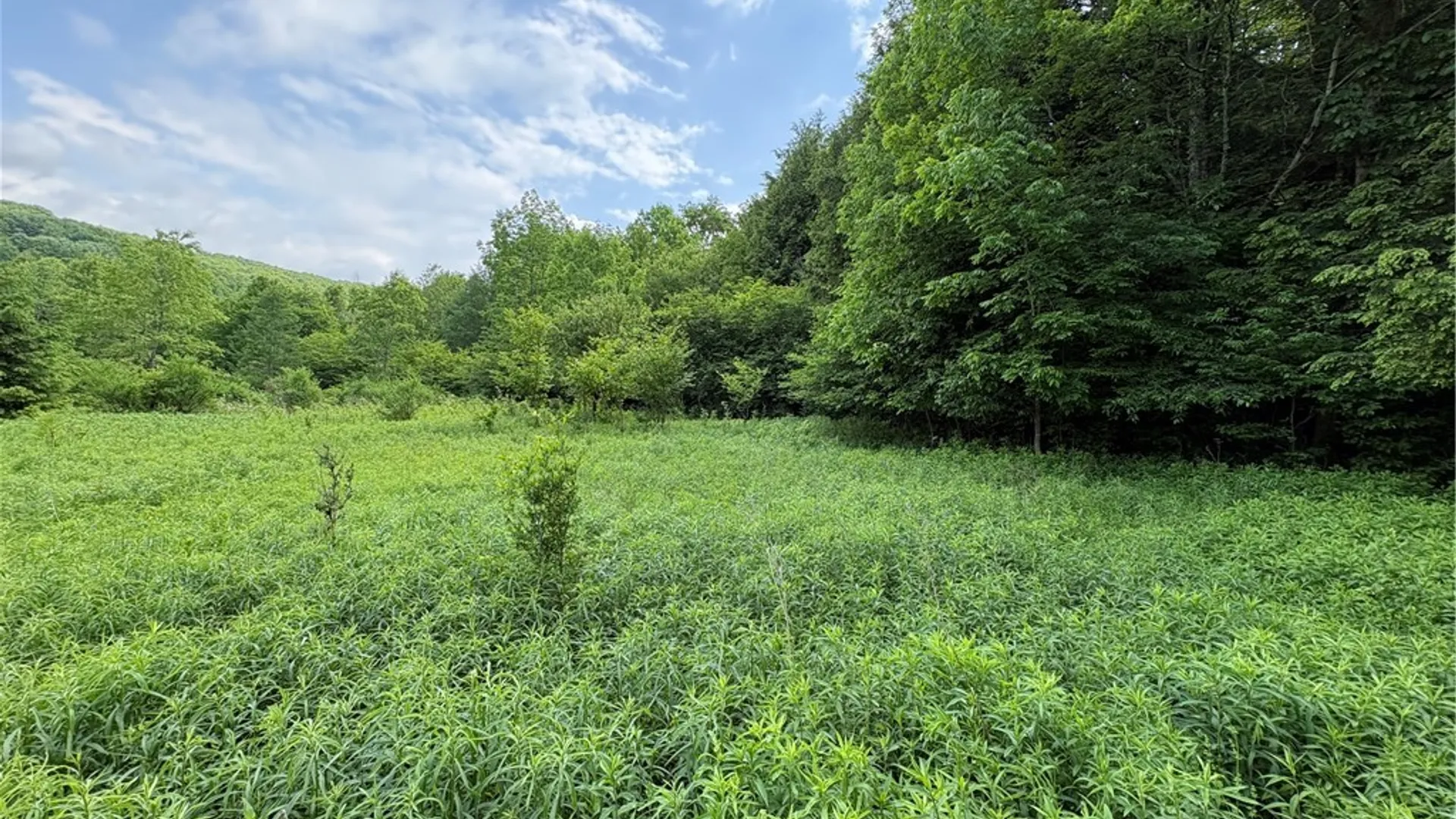 Property at Stage Road, Otselic, NY 13155 3