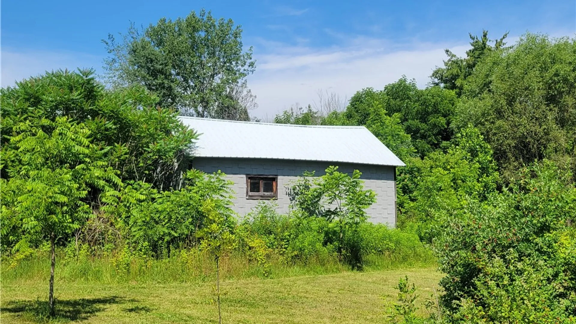 Property at 8961 Dinglehole Road, Lysander, NY 13027 4
