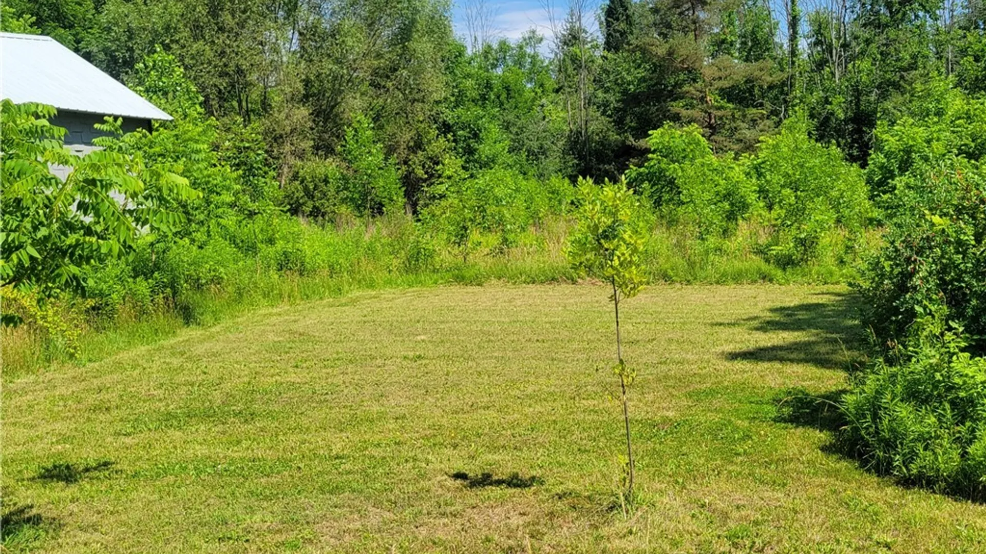 Property at 8961 Dinglehole Road, Lysander, NY 13027 6
