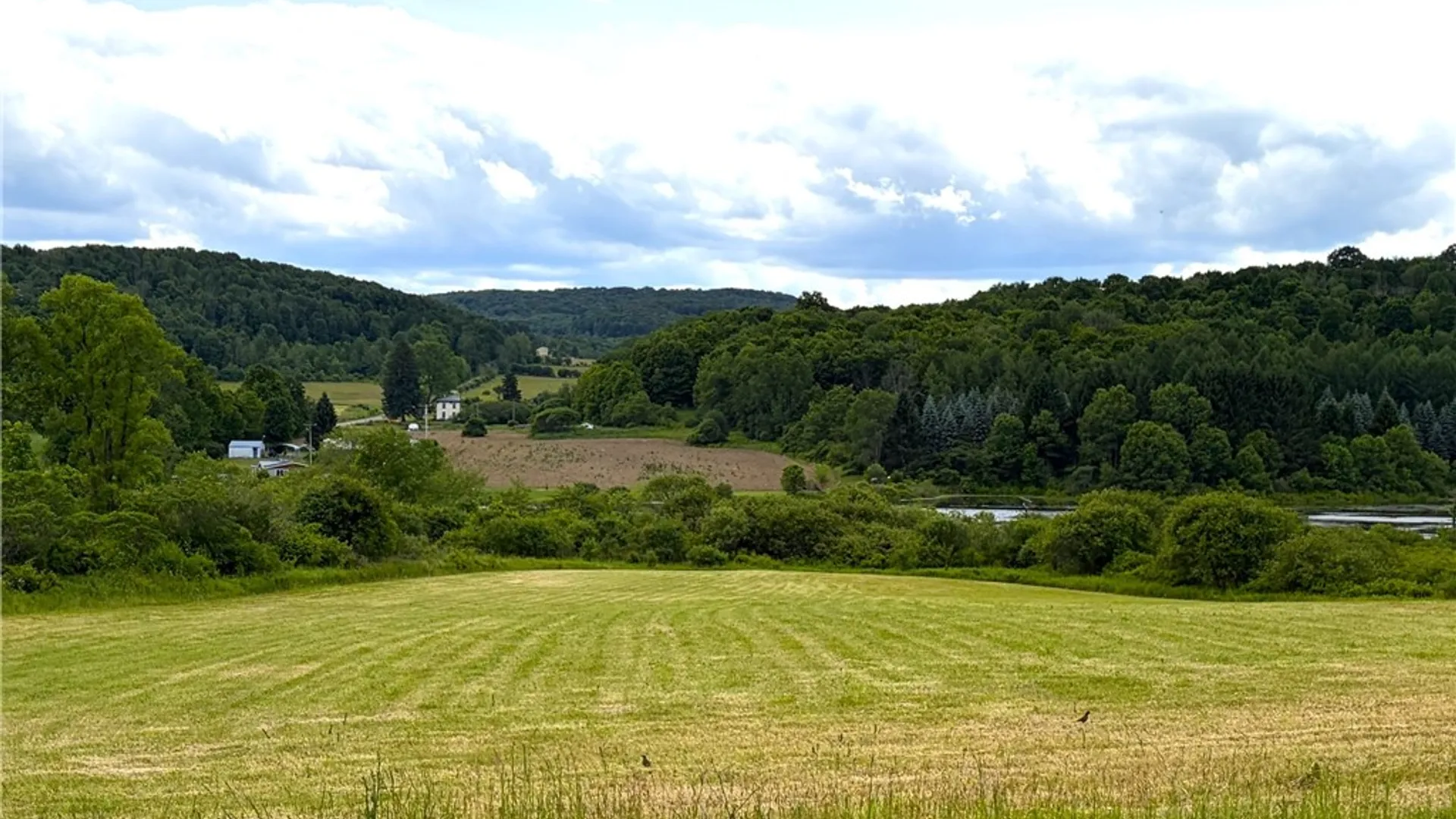 Property at Lot 3 Summit Road, Cuba, NY 14727 2