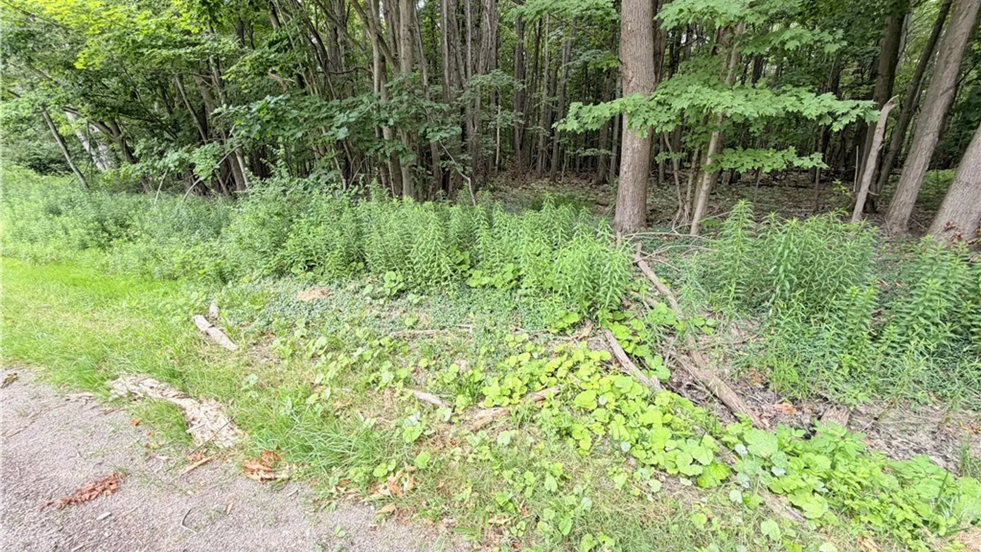 Property at 0 Panama-Stedman Road, North Harmony, NY 14757 2