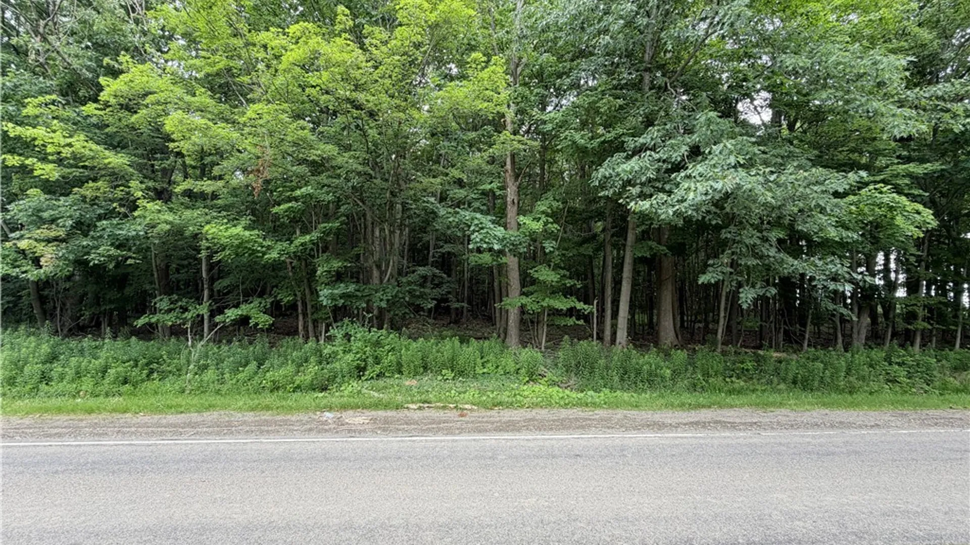 Property at 0 Panama-Stedman Road, North Harmony, NY 14757 5