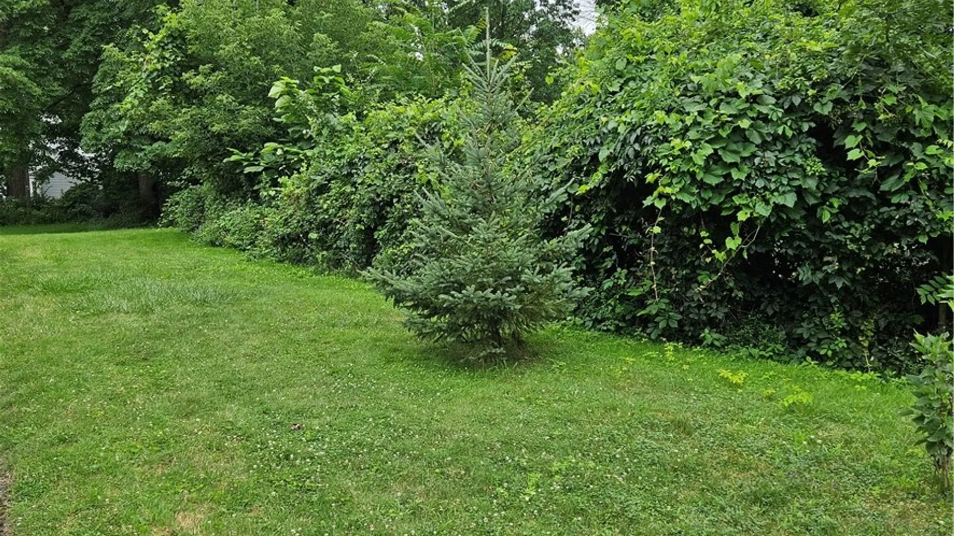 Property at 80 David Avenue, Brighton, NY 14620 27
