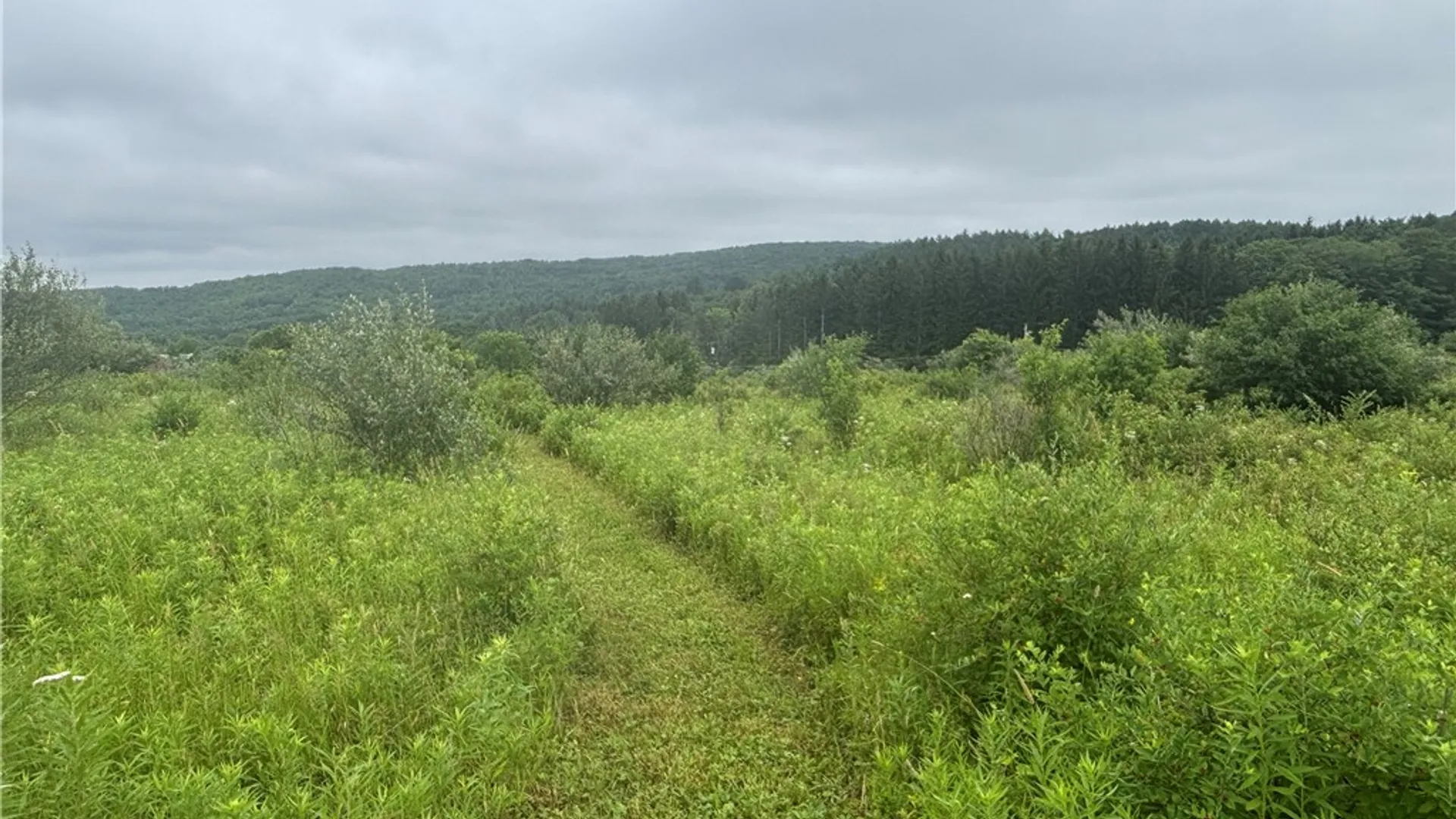 Property at Lot 1 County Route 46, Dansville, NY 14437 2